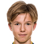 斯特兰内戈德
