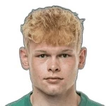 维斯特
